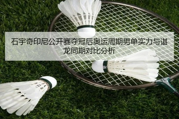 shi-yu-qi-yin-ni-gong-kai-sai-duo-guan-hou-ao-yun-zhou-qi-nan-dan-shi-li-yu-chen-long-tong-qi-dui-bi-fen-xi-2-859.jpg