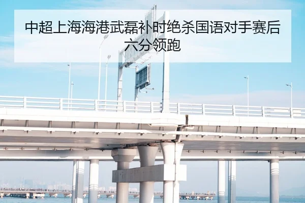 中超上海海港武磊补时绝杀国语对手赛后六分领跑